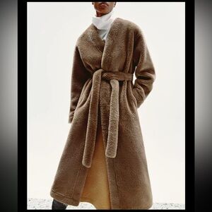 Zara Brown Long Coat